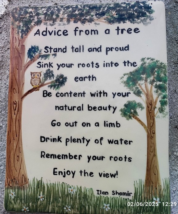 Kilcommon N.S.