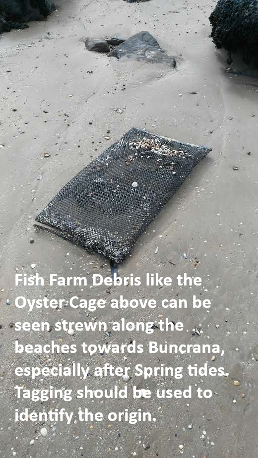 Oyster Submission