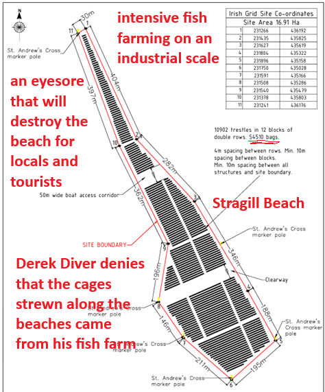 Free Oyster Map
